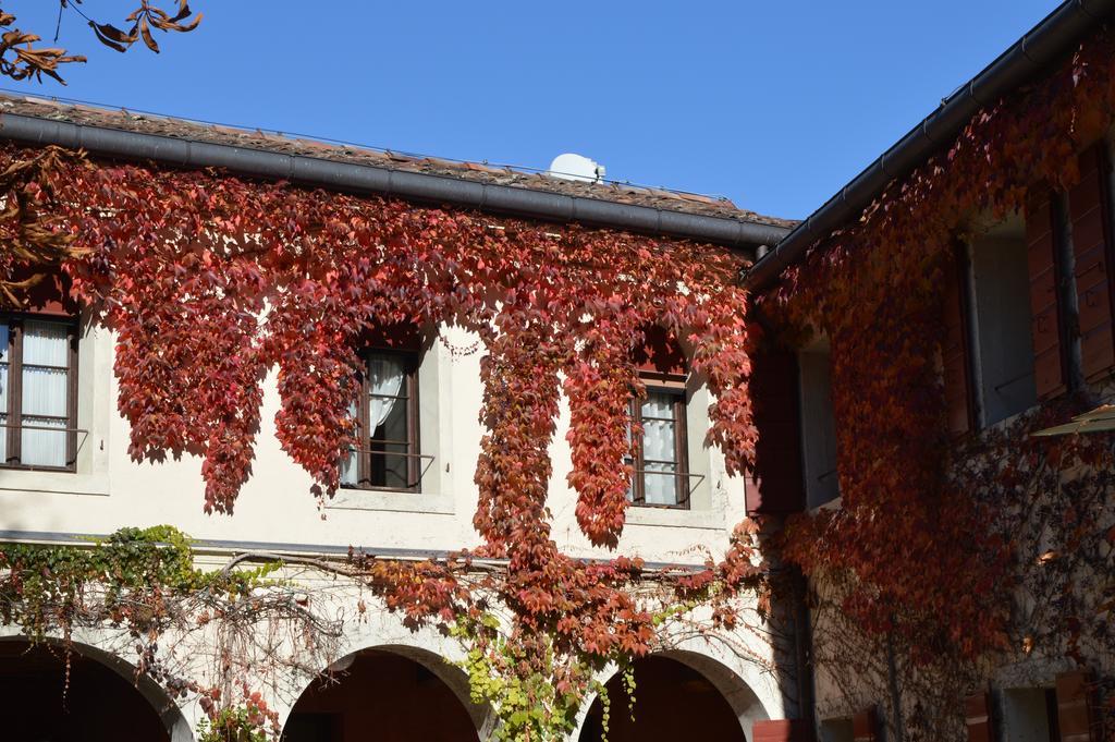 I Giardini Segreti Di Villa Marcello Marinelli Cison di Valmarino Bagian luar foto